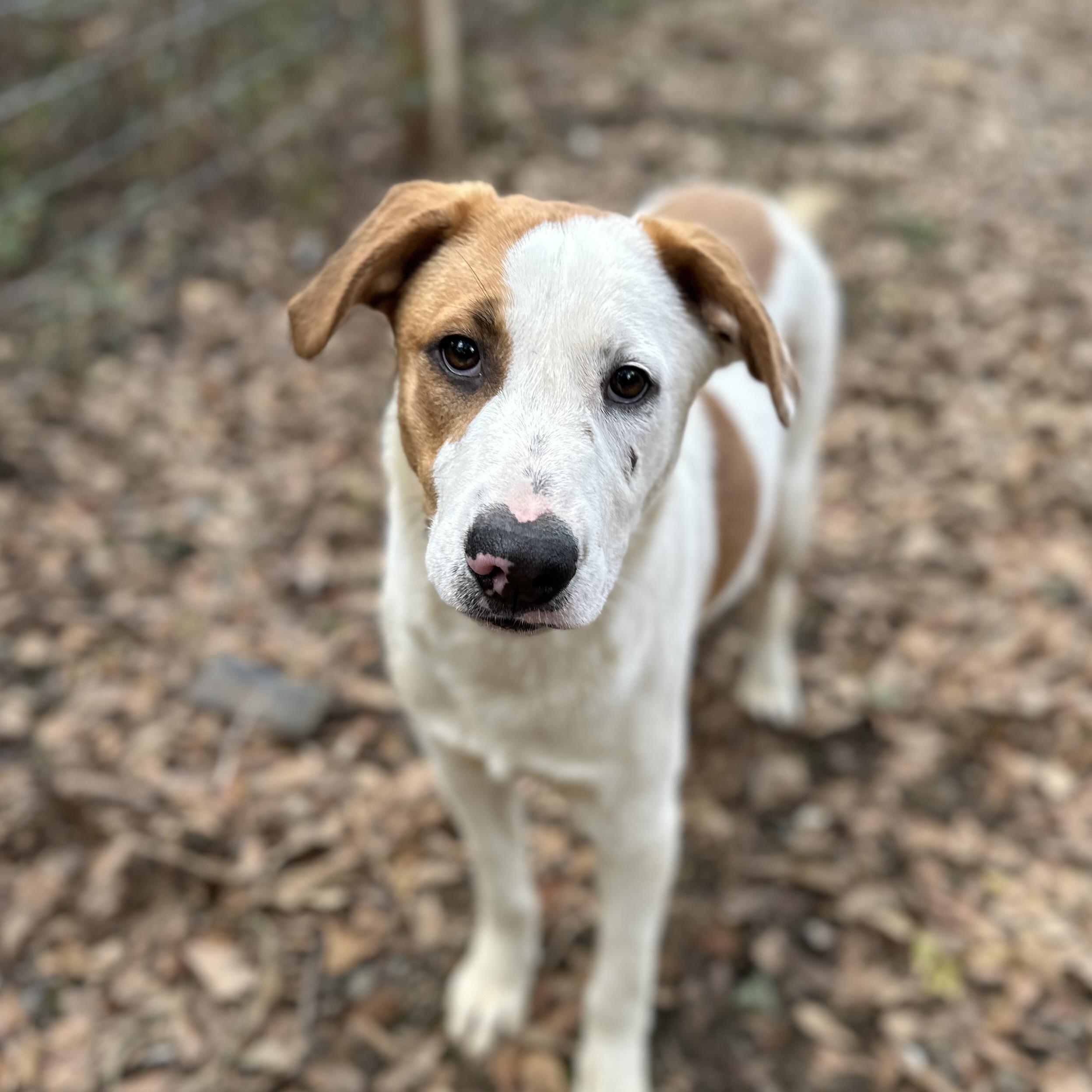 Caroline — thumbnail 4