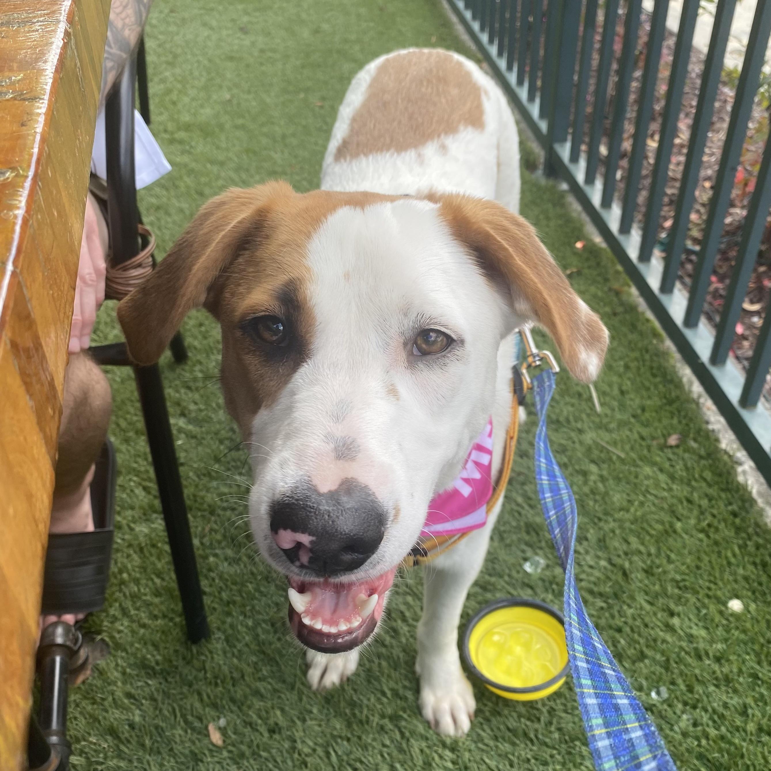 Caroline — thumbnail 5