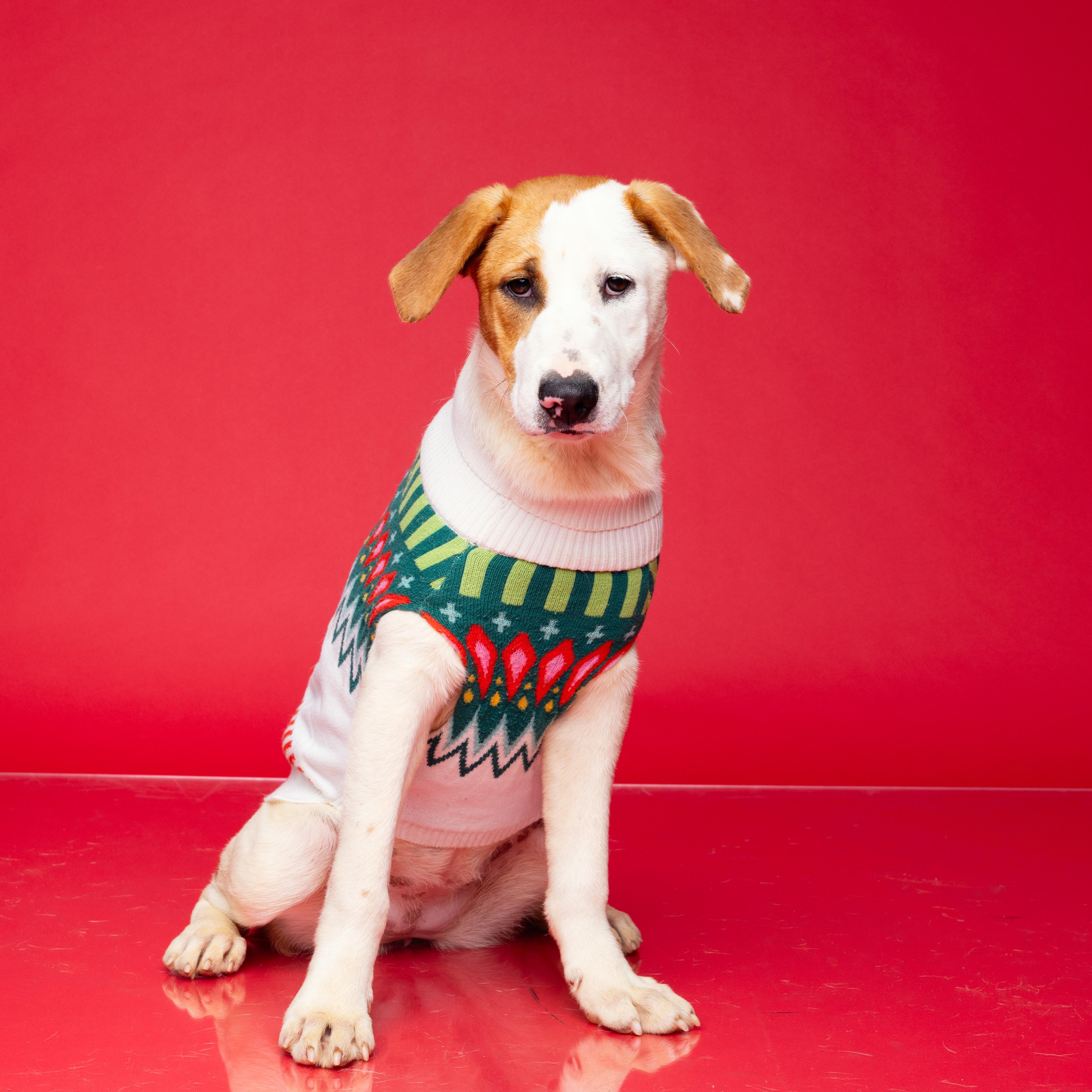 Caroline — thumbnail 6