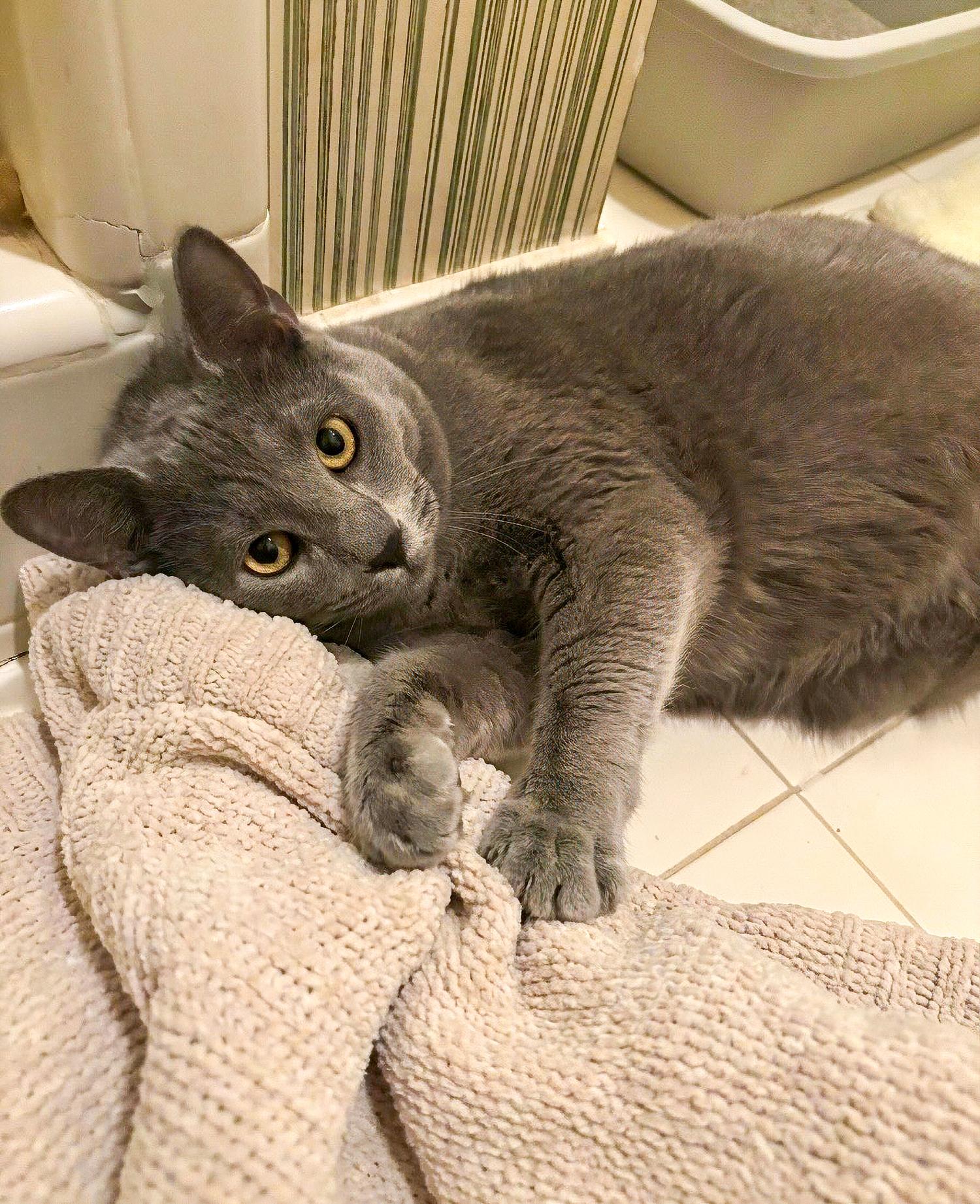 Kitty Smalls — thumbnail 3