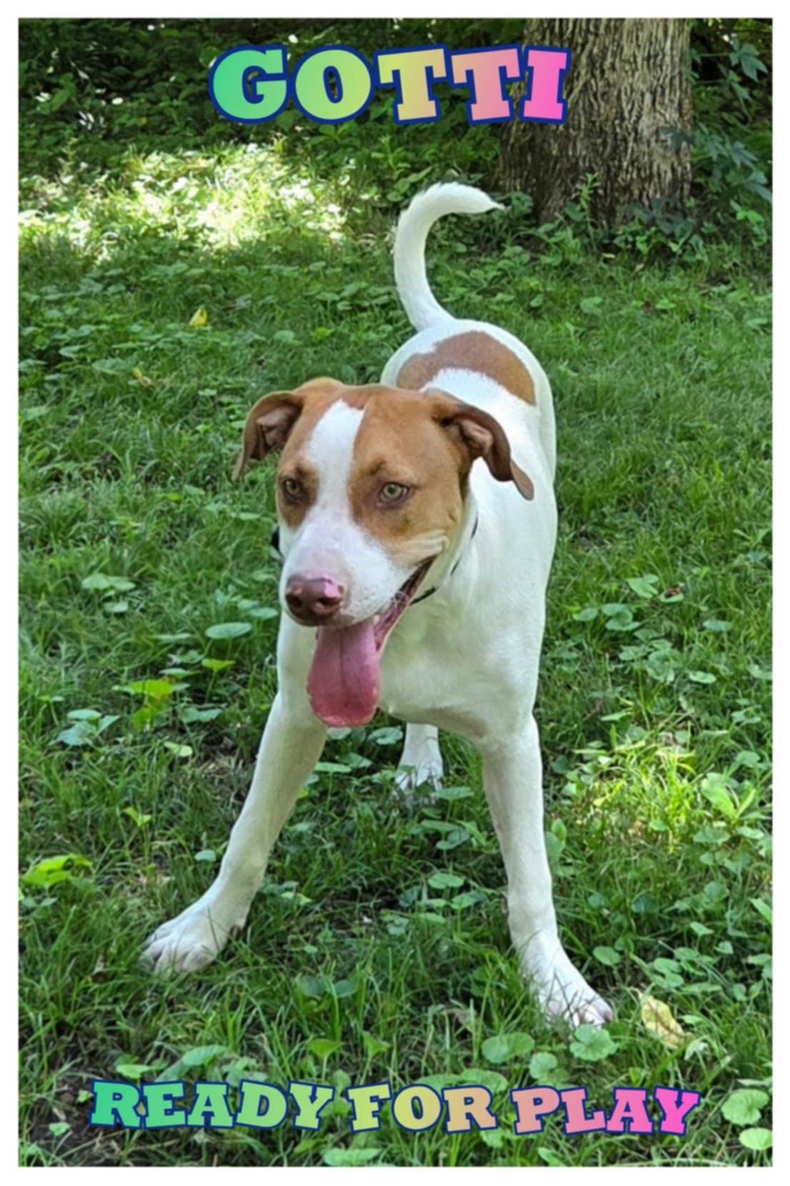 Gotti, Young Male unknown