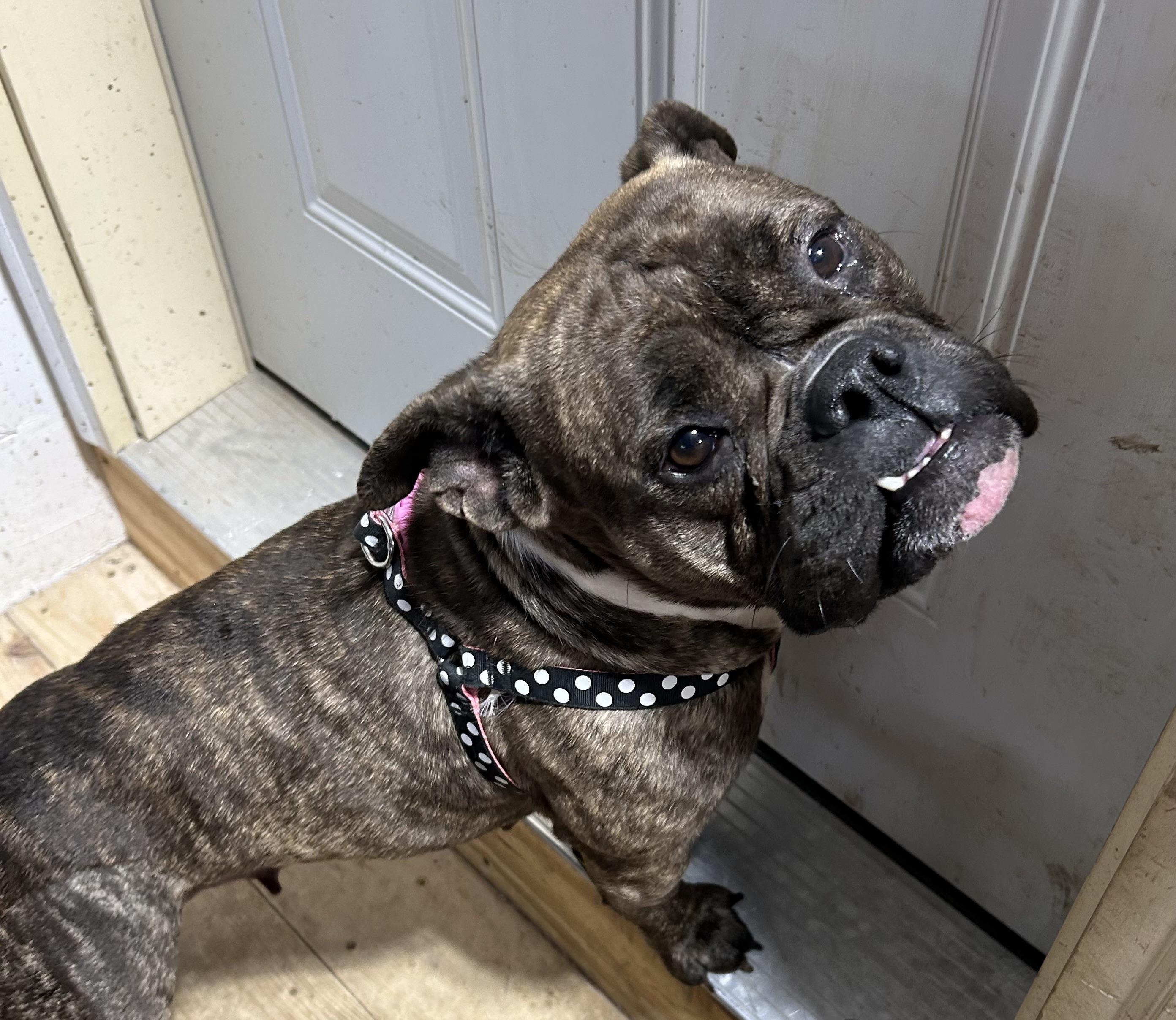 Coco