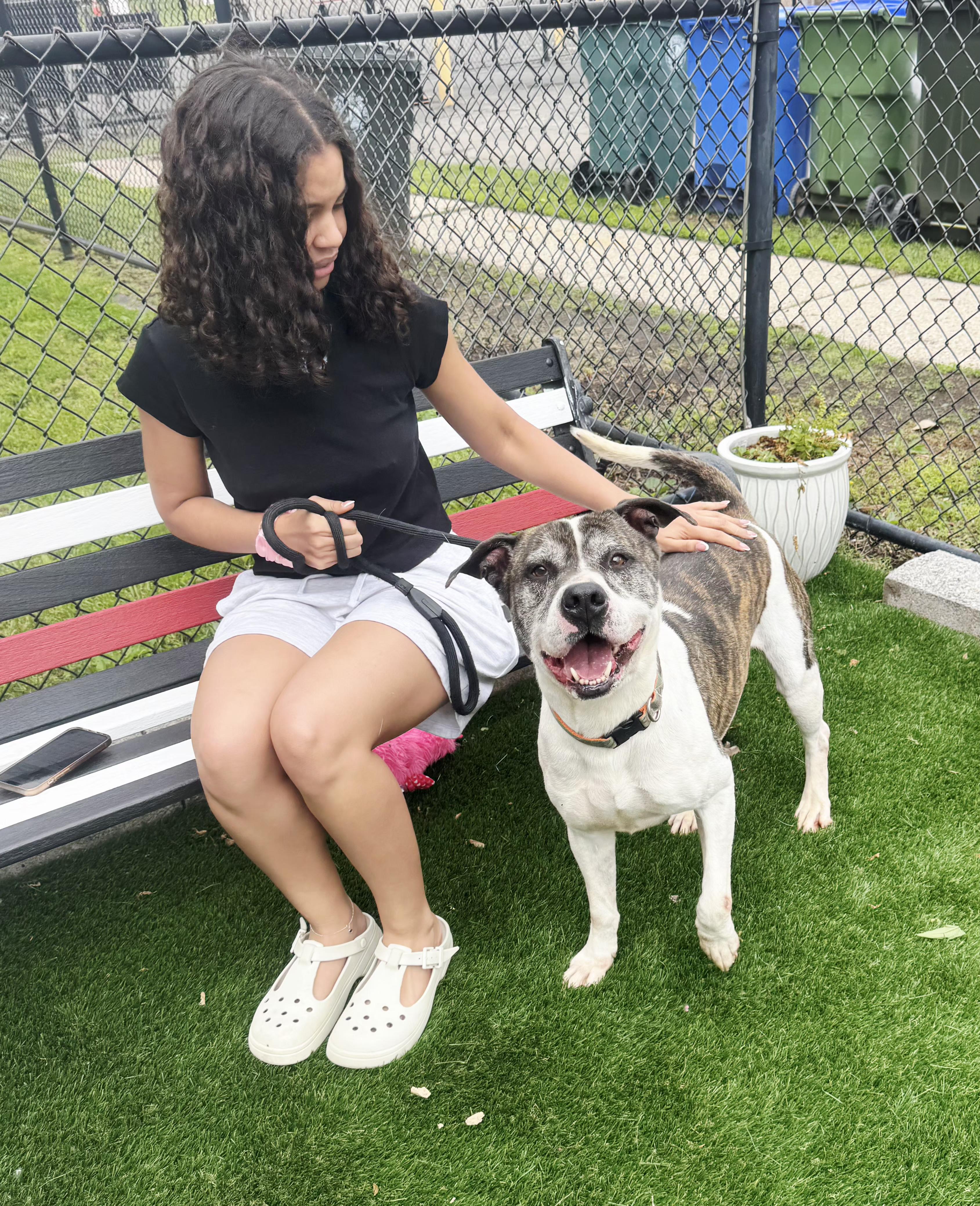 Danny, a Adoptable mixed breed in Perth Amboy, NJ image 1/6