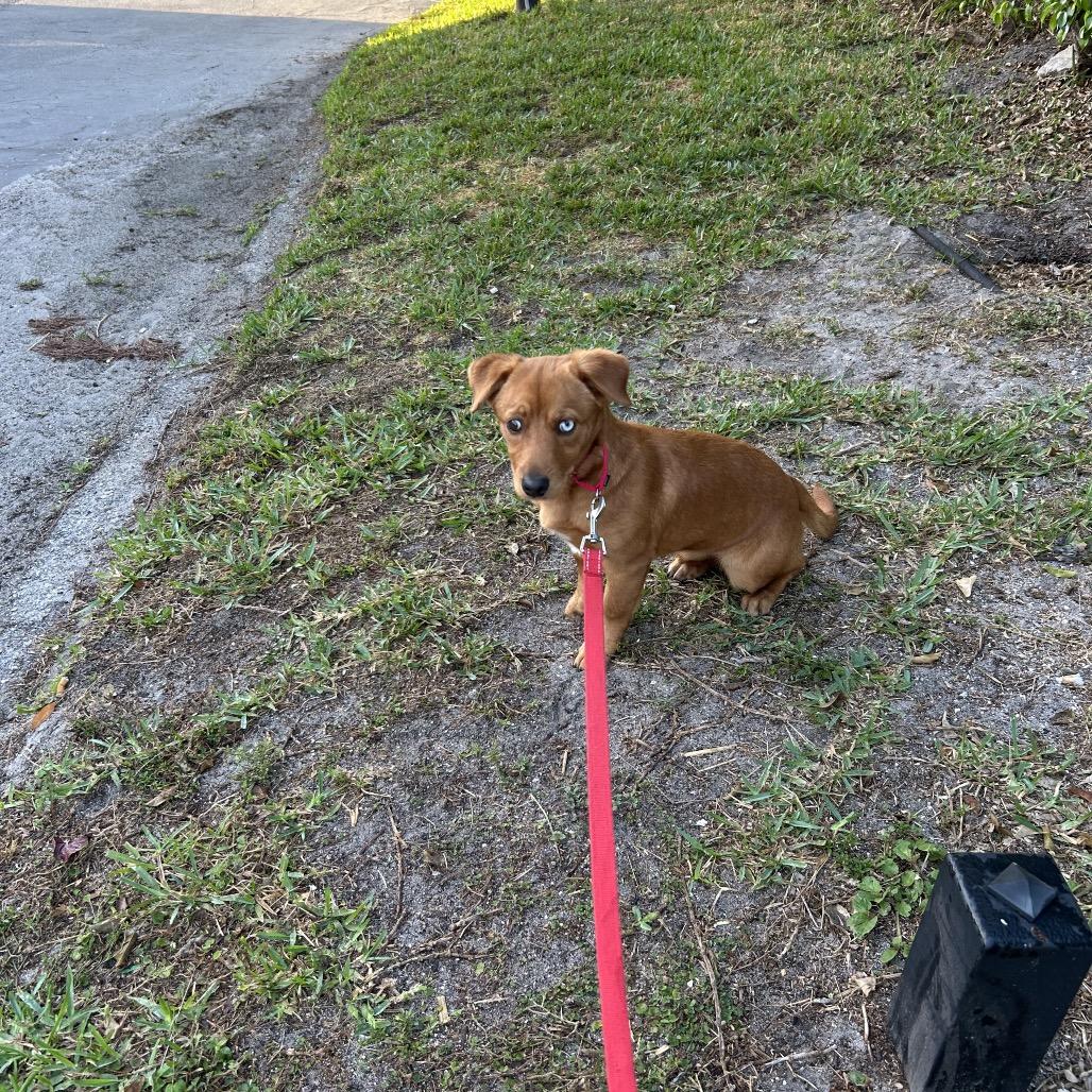 Bonnie — thumbnail 3