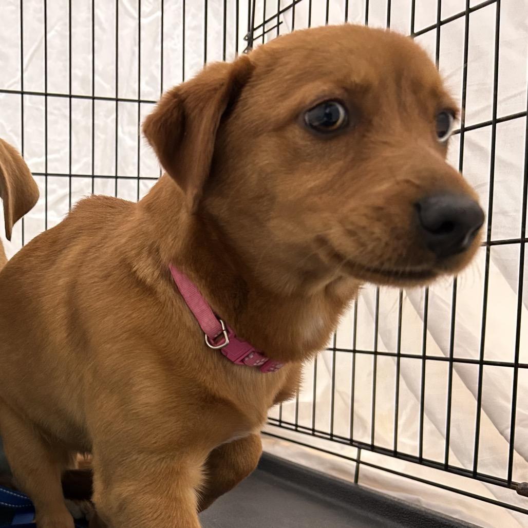 Bonnie — thumbnail 4