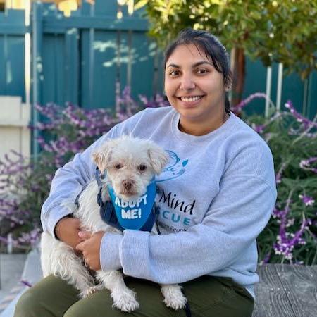 Bumper Car — thumbnail 4