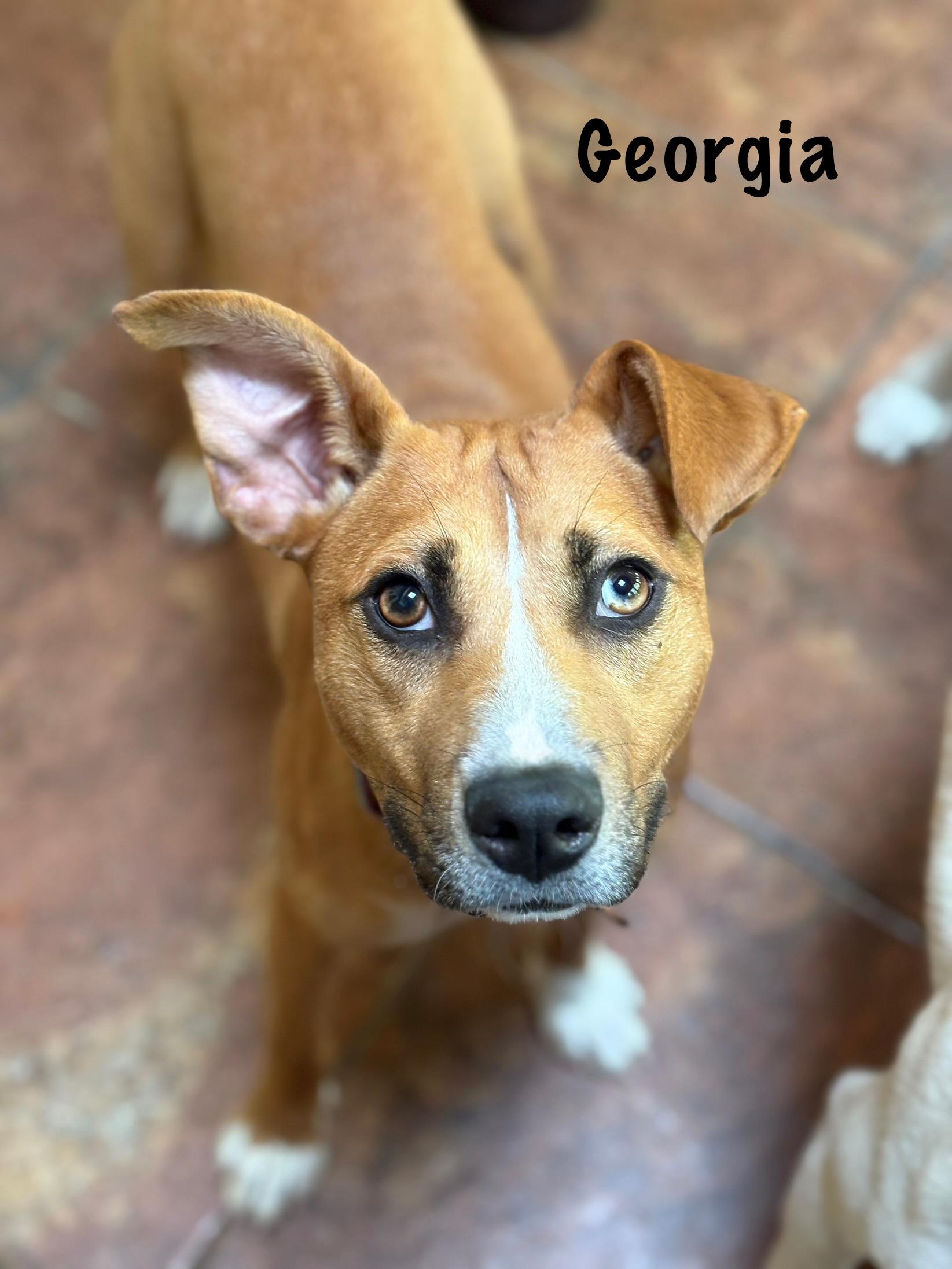 Georgia