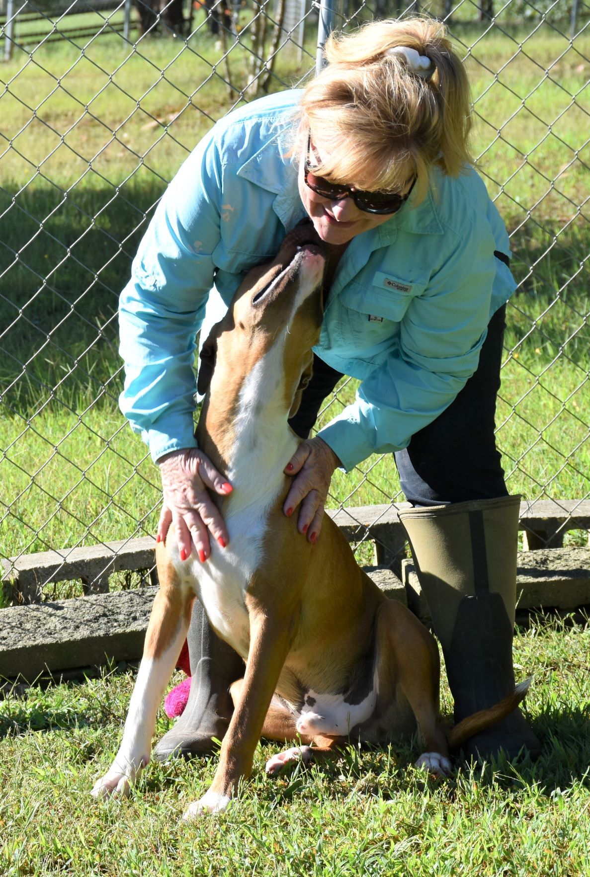 Enlarge Potsy, a Adoptable mixed breed in Wedowee, AL image 1/10