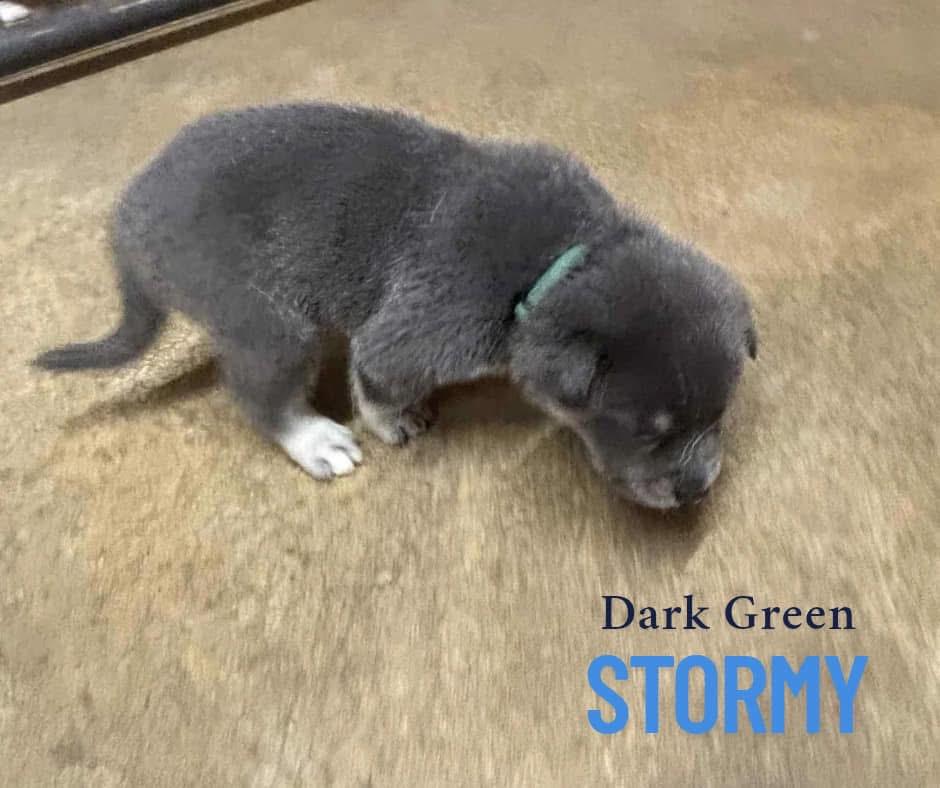 Stormy
