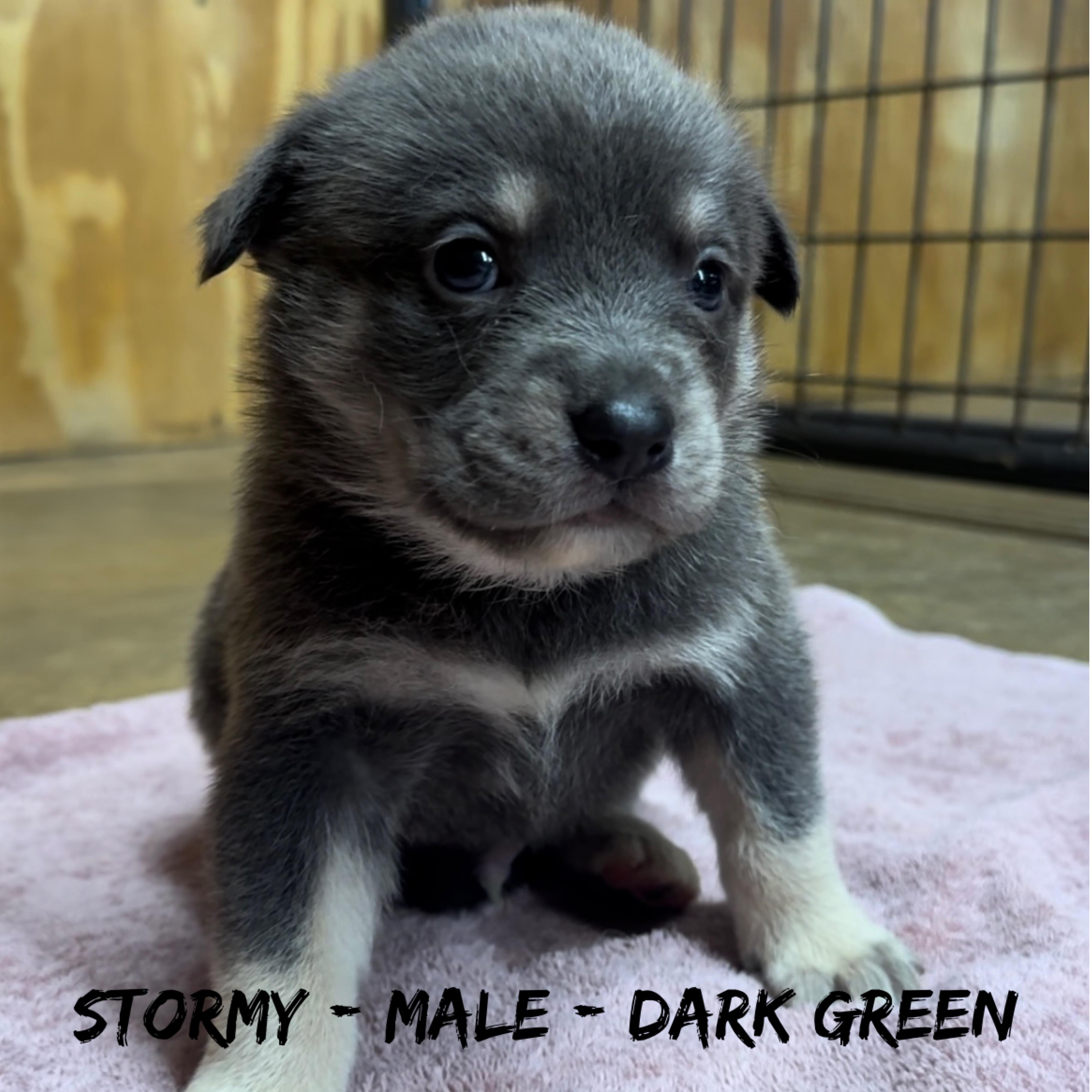 Stormy