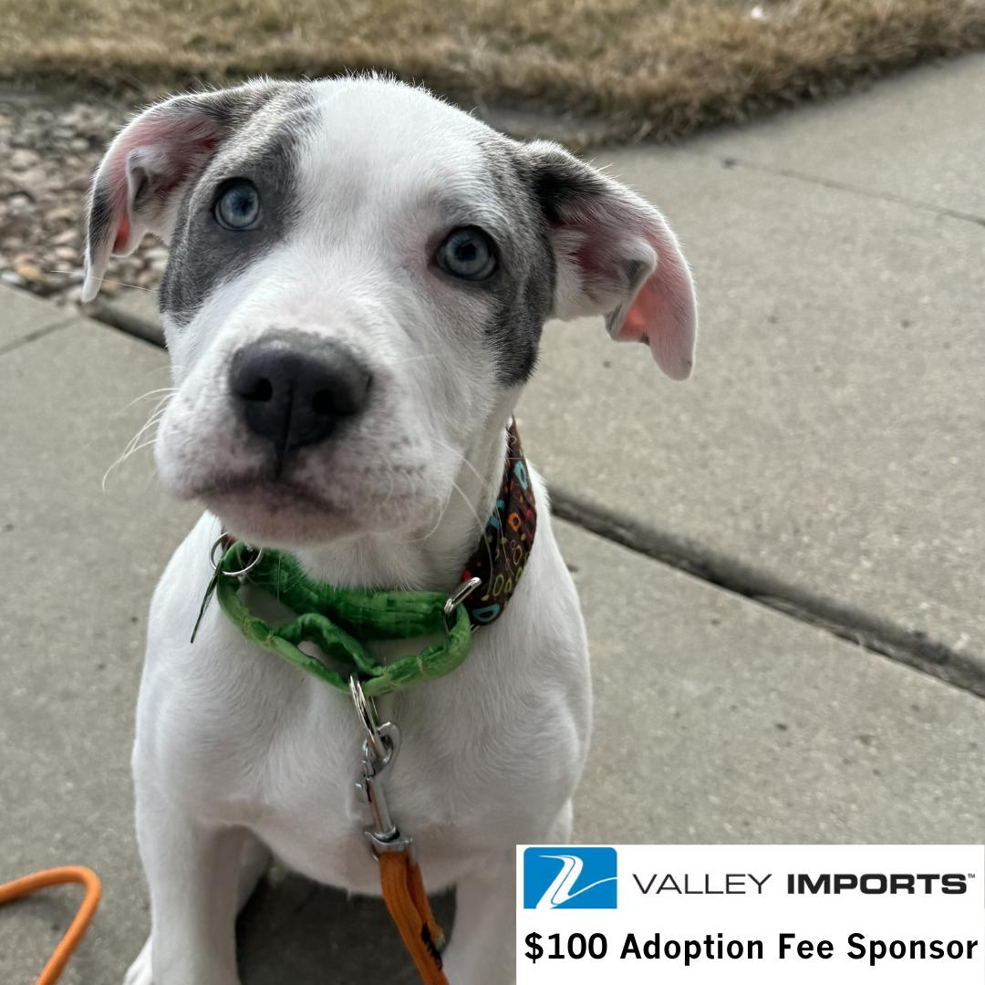 Trinket — thumbnail 2