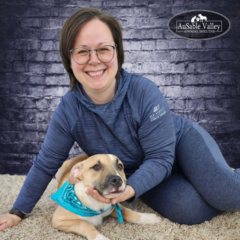 Enlarge Mojo, a ADOPTABLE mixed breed in Grayling, MI image 4/6