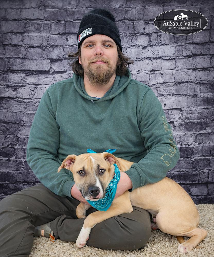 Enlarge Mojo, a ADOPTABLE mixed breed in Grayling, MI image 6/6