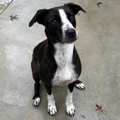 Pep Squad (20260126-07)