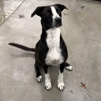 Pep Squad (20260126-07) — thumbnail 2