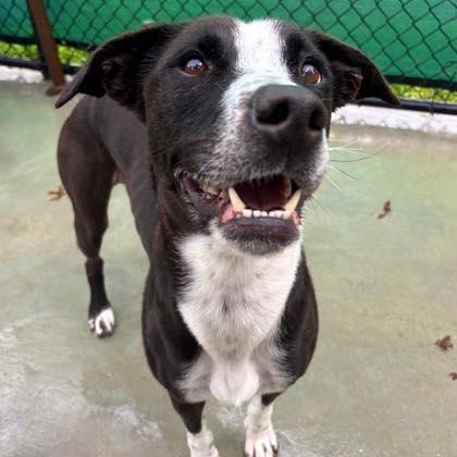 Pep Squad (20260126-07) — thumbnail 3