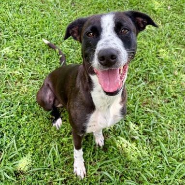 Pep Squad (20260126-07) — thumbnail 4