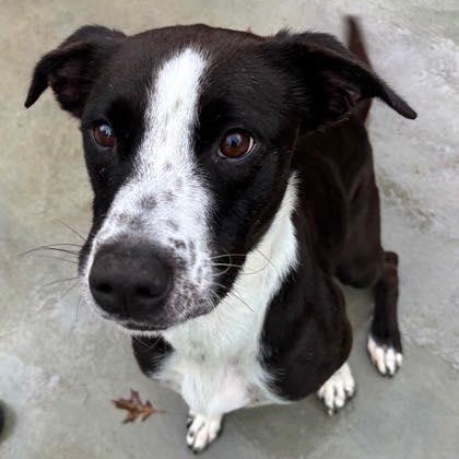 Pep Squad (20260126-07) — thumbnail 5