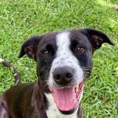 Pep Squad (20260126-07) — thumbnail 6