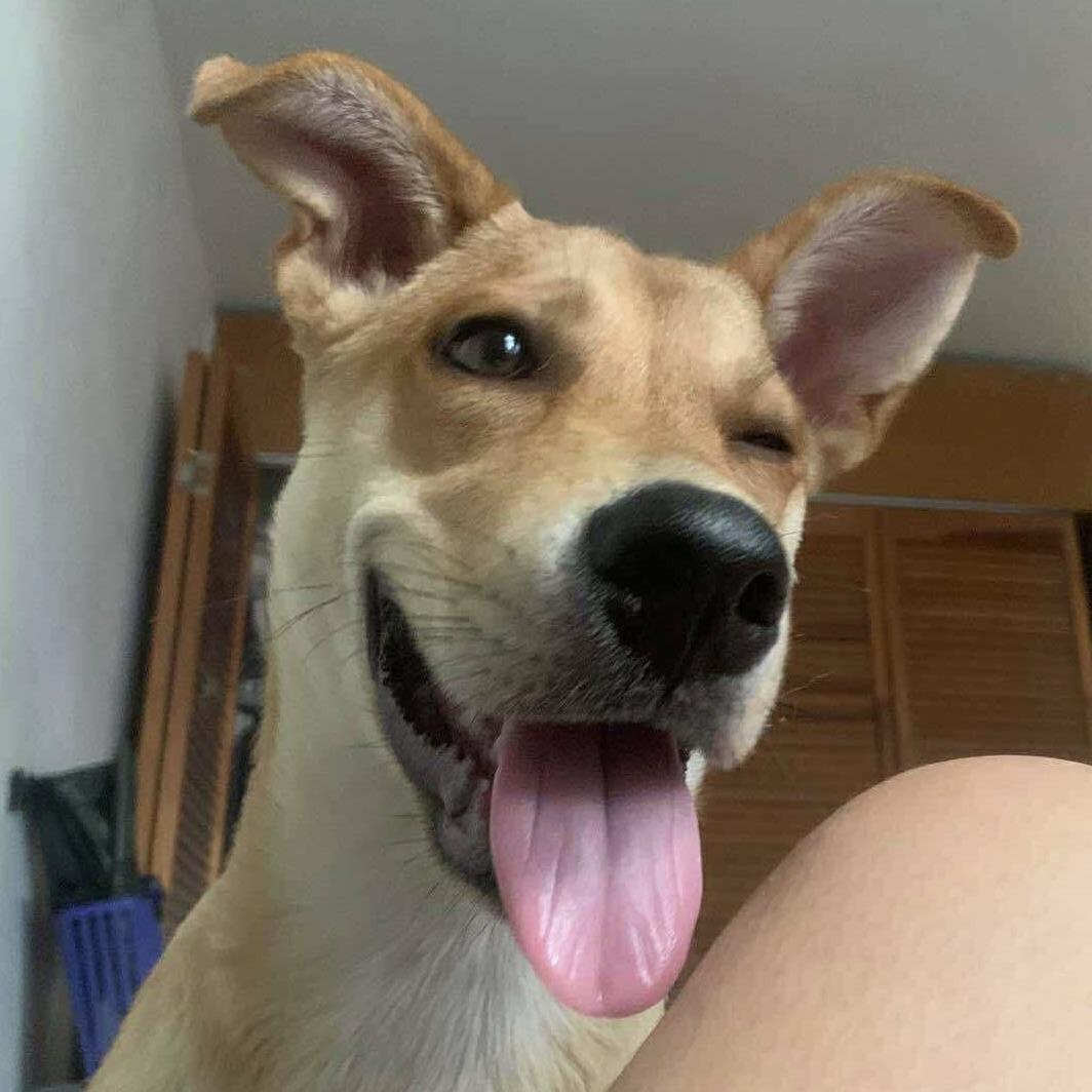 Honey (20250908-04) — thumbnail 3