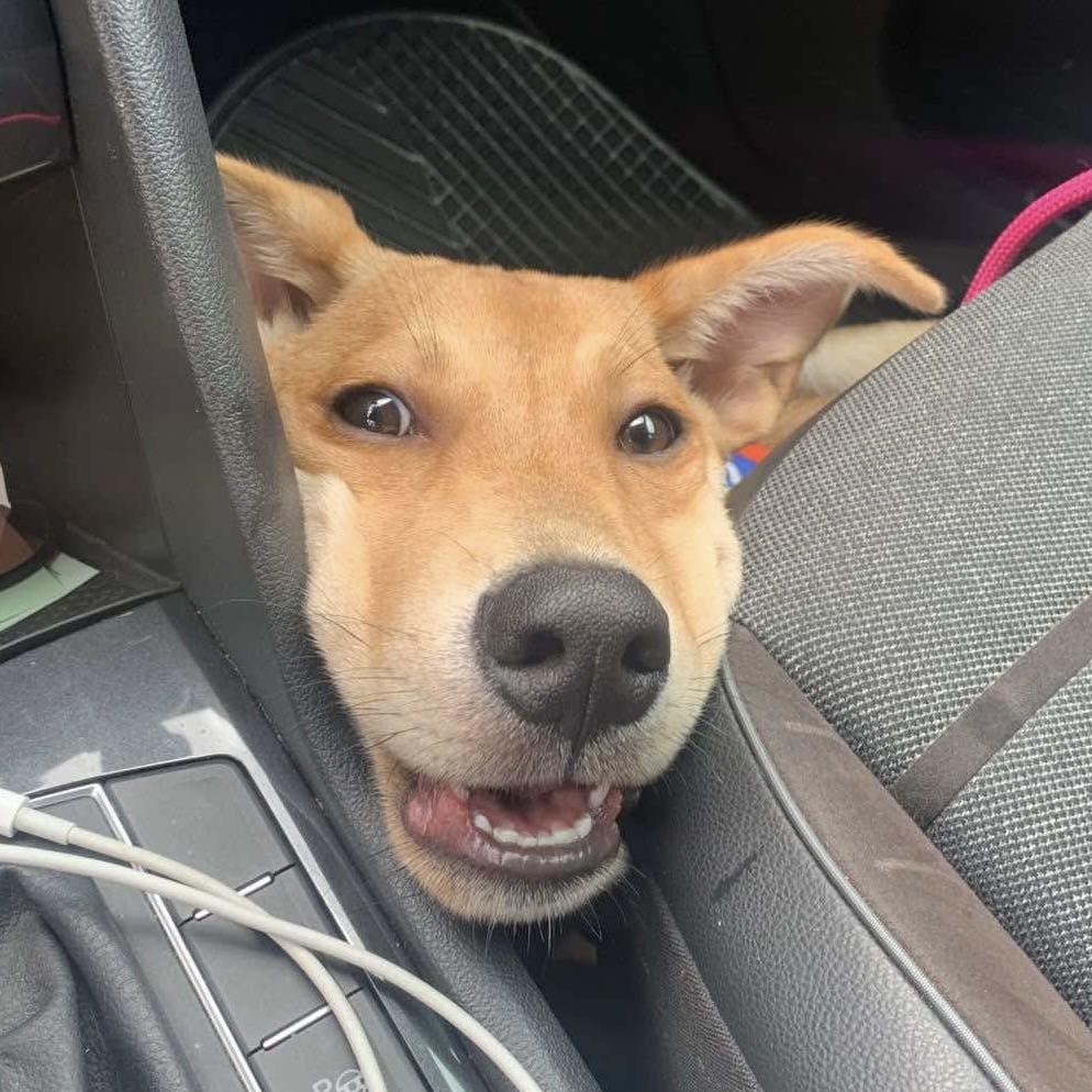 Honey (20250908-04) — thumbnail 5