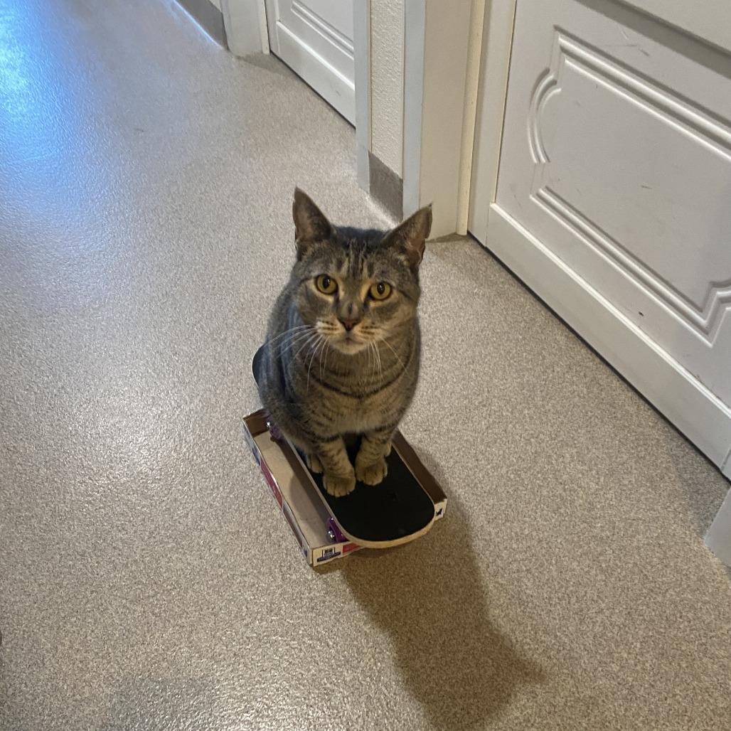 Captain Crunch — thumbnail 2