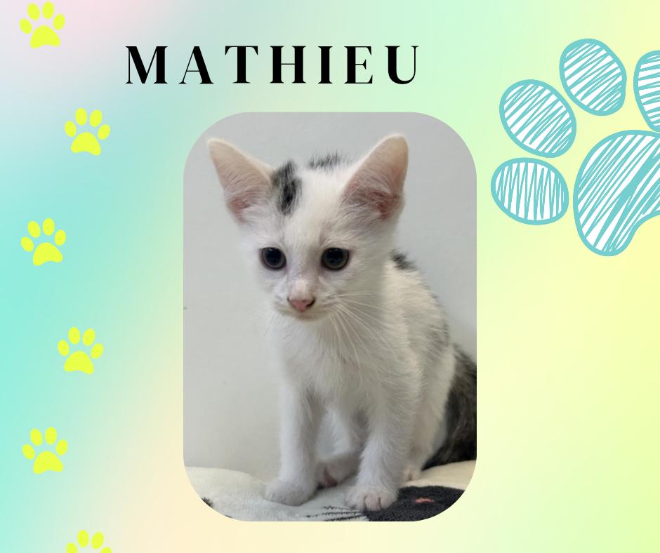 Mathieu