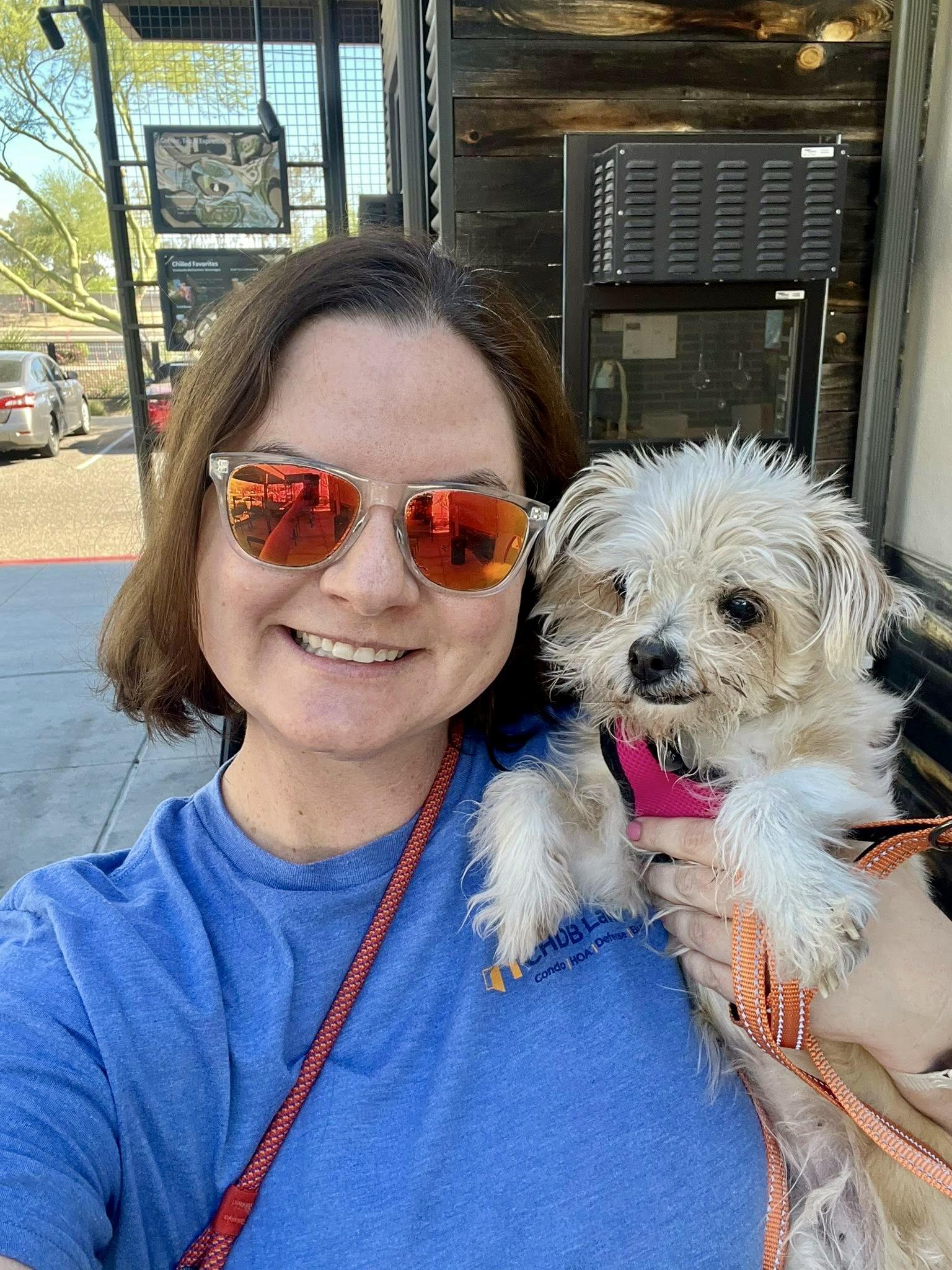 Dog for adoption Lacy, a Cairn Terrier Mix in Scottsdale, AZ Petfinder