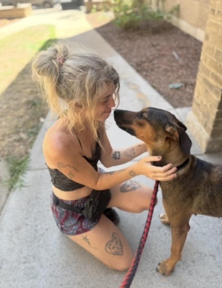 Freya, a Adoptable mixed breed in Denver, CO image 4/5