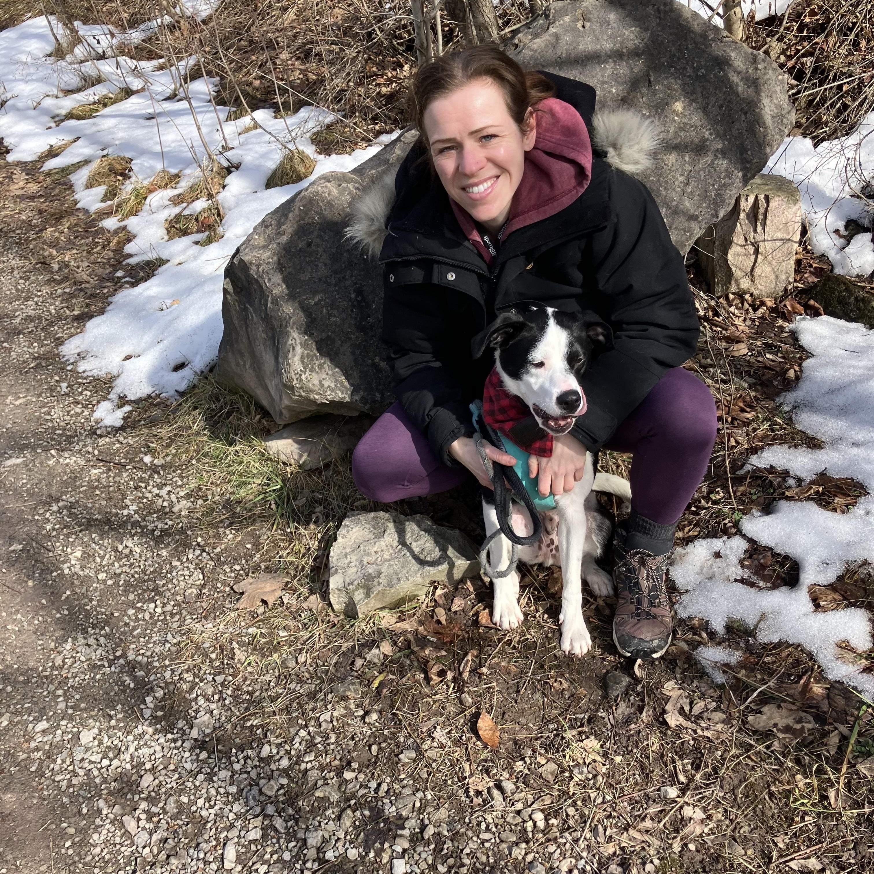 Enlarge Spot, an adoptable mixed breed in Buffalo, NY image 5/6