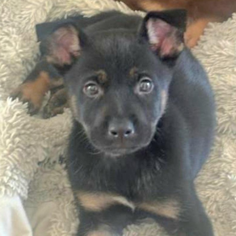 Llori Parti "will You thumbnail 2