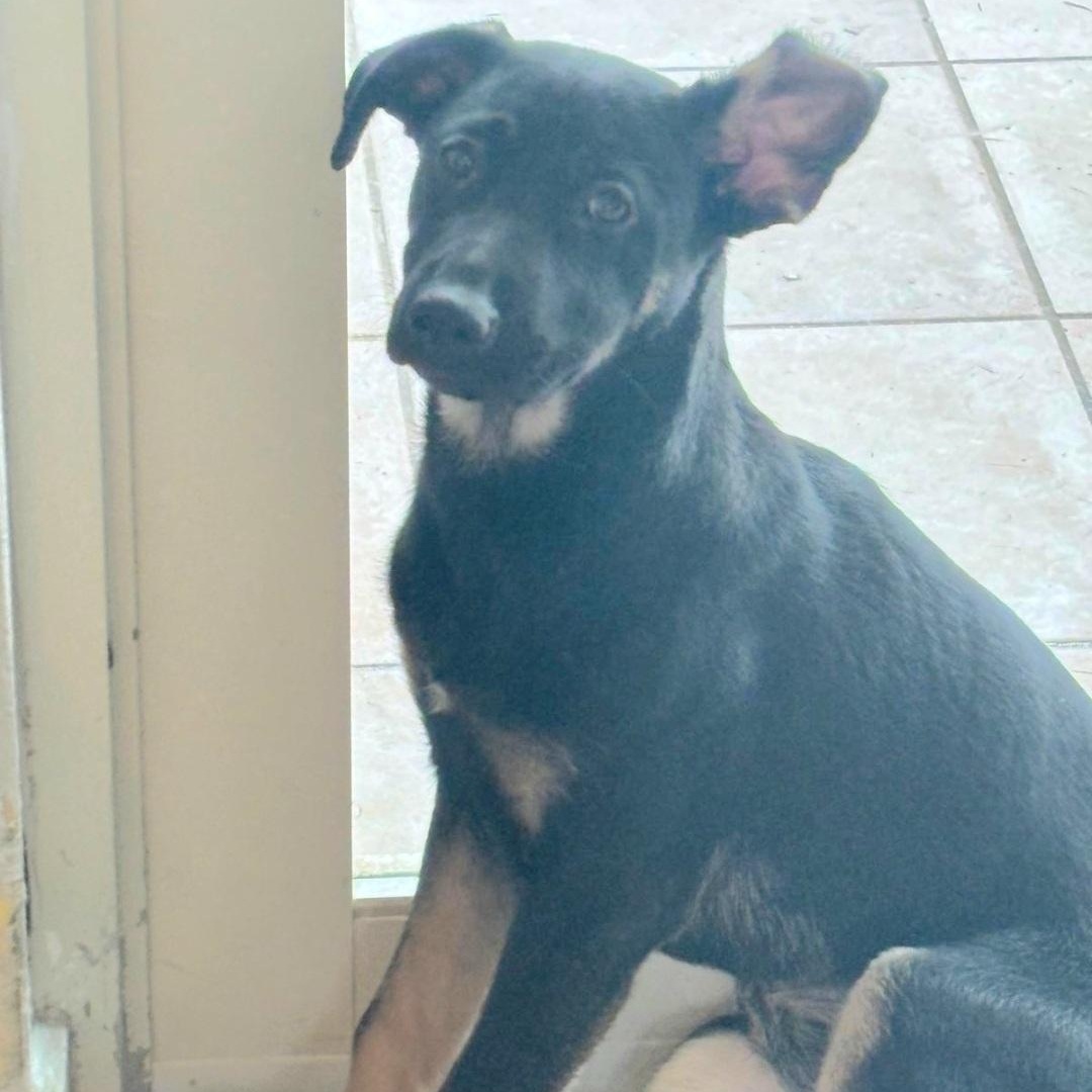 Llori Parti "will You thumbnail 5