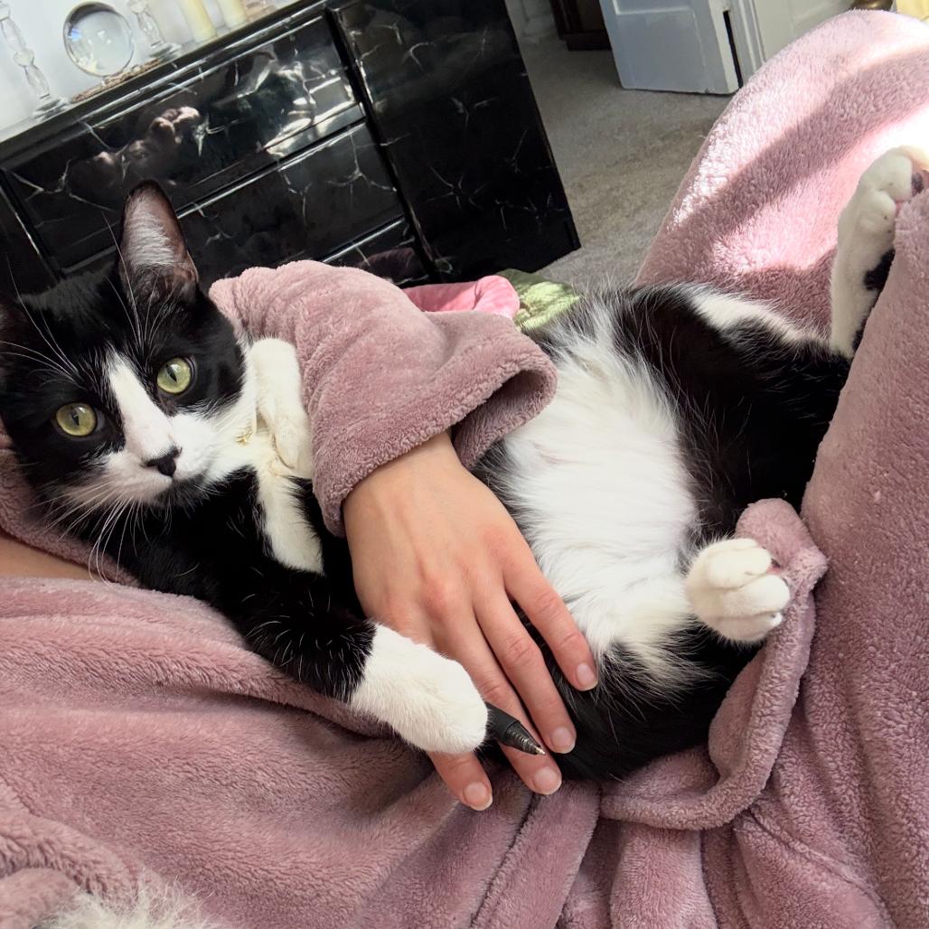 Tyler — thumbnail 2