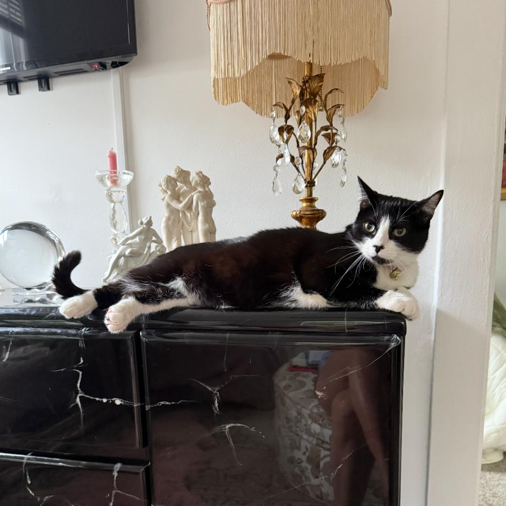 Tyler — thumbnail 4