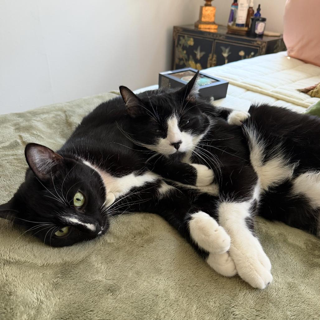 Tyler — thumbnail 6