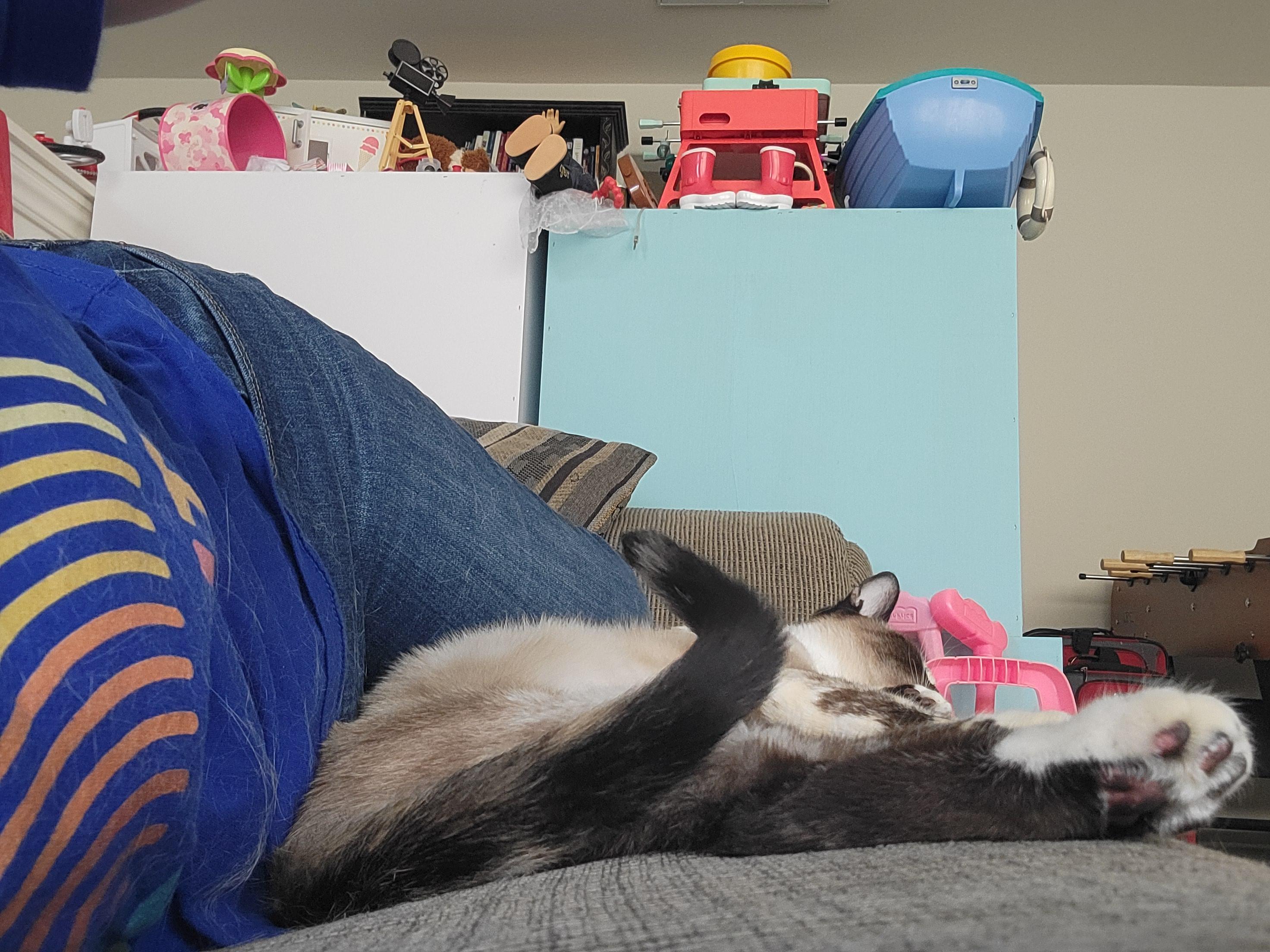Mia photo 3