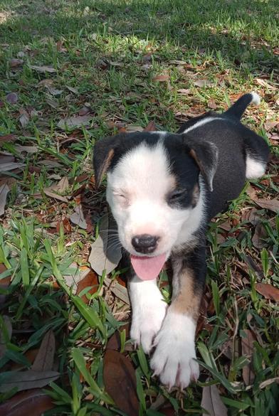 Blizzard — thumbnail 6