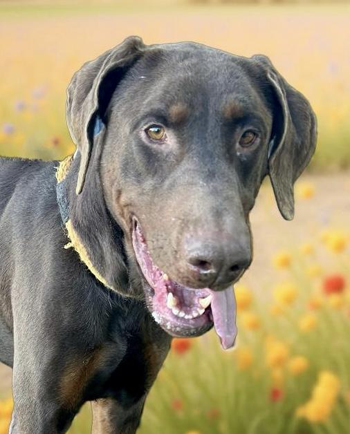 Max