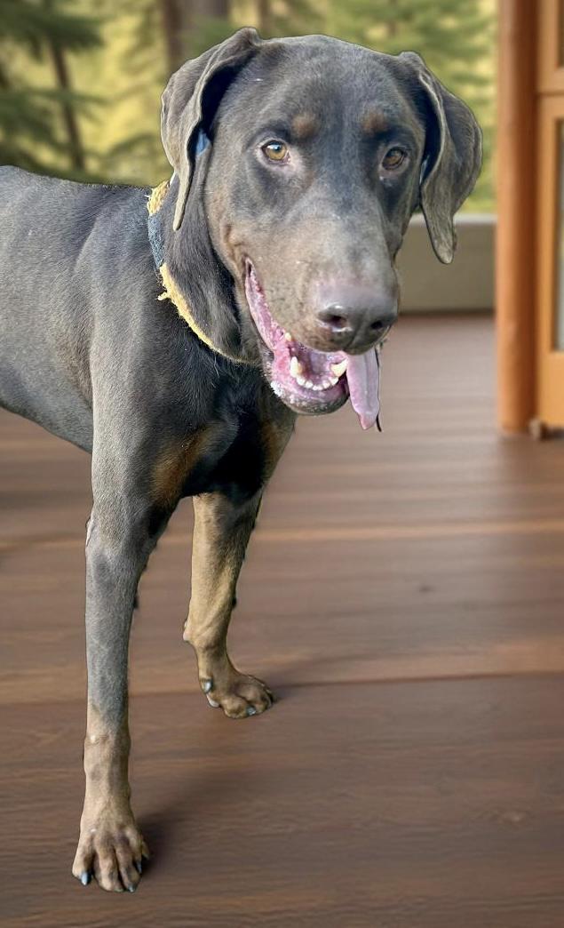 Max