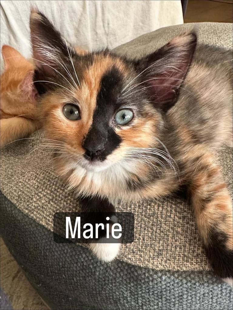 Marie the Most Gorgeous