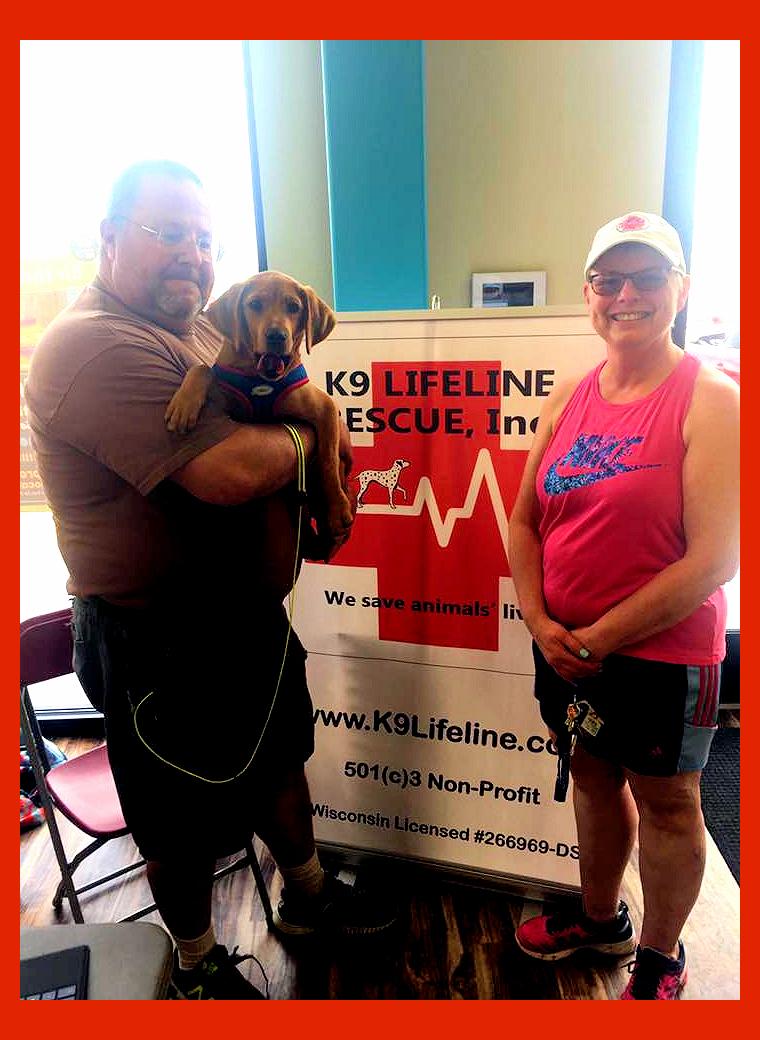 Enlarge Annie, a ADOPTABLE mixed breed in Lake Geneva, WI image 3/4