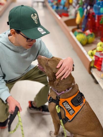 Enlarge OTHELLO FOSTER, a Adoptable mixed breed in Houston, TX image 1/3