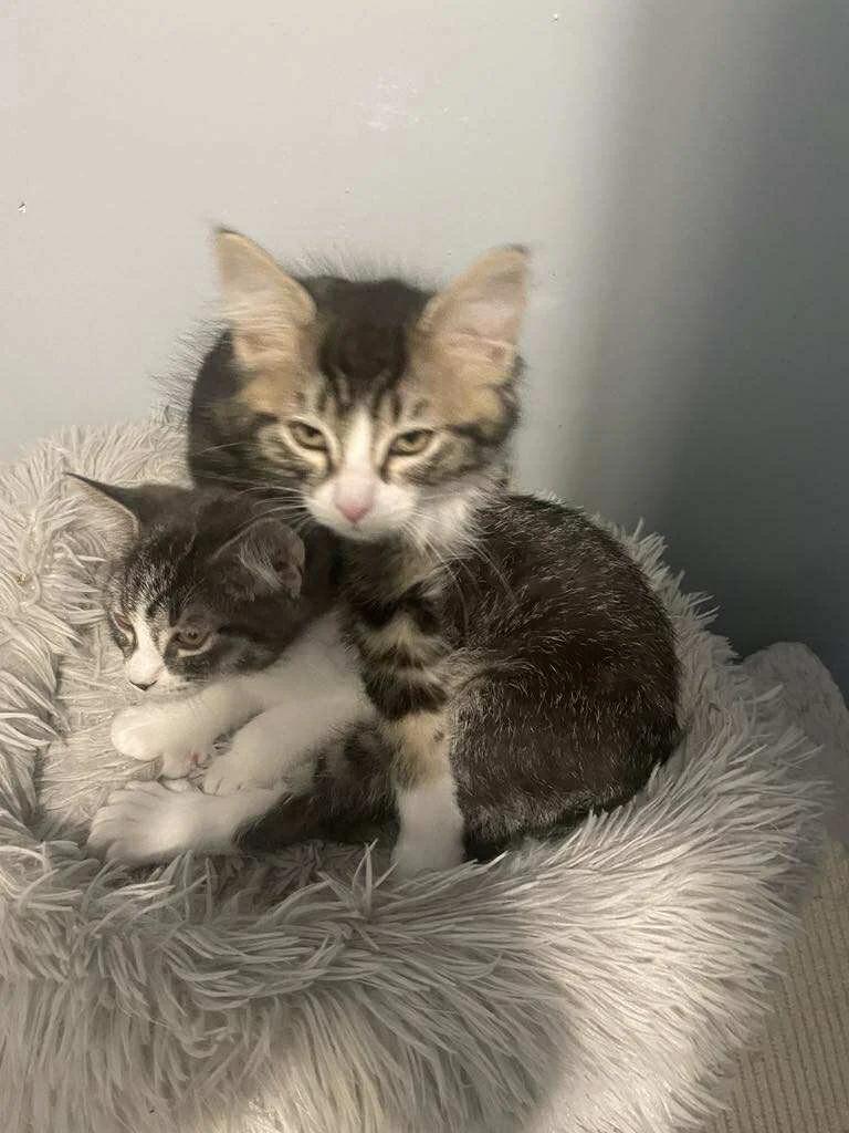 Georgia & Ginny