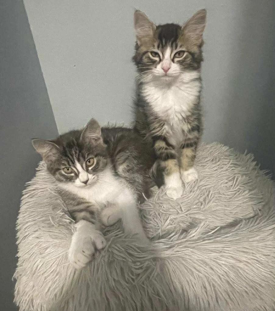 Georgia & Ginny
