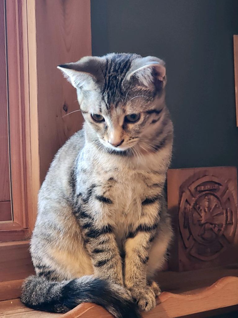 Wynona — thumbnail 2