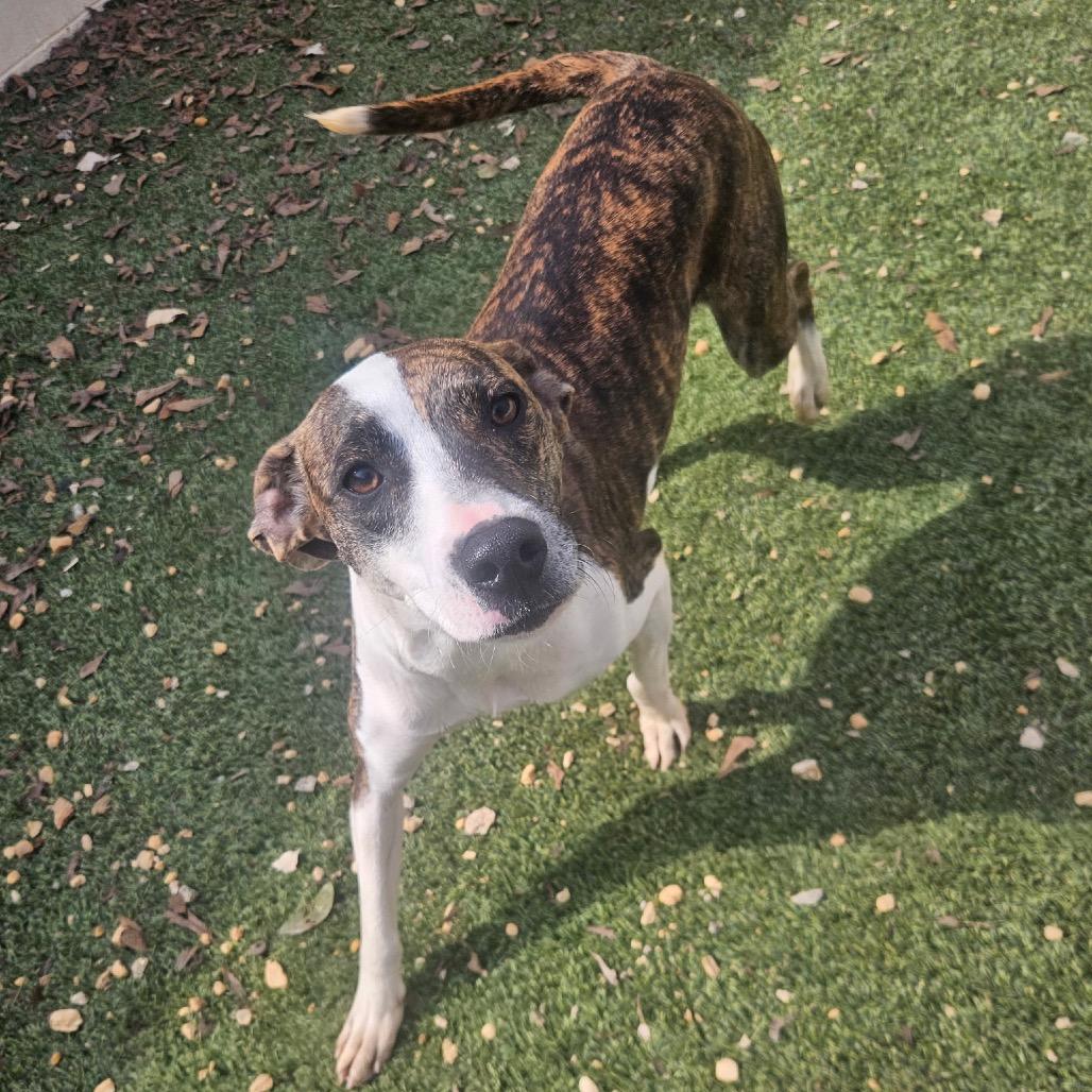 Elizebeth thumbnail 3