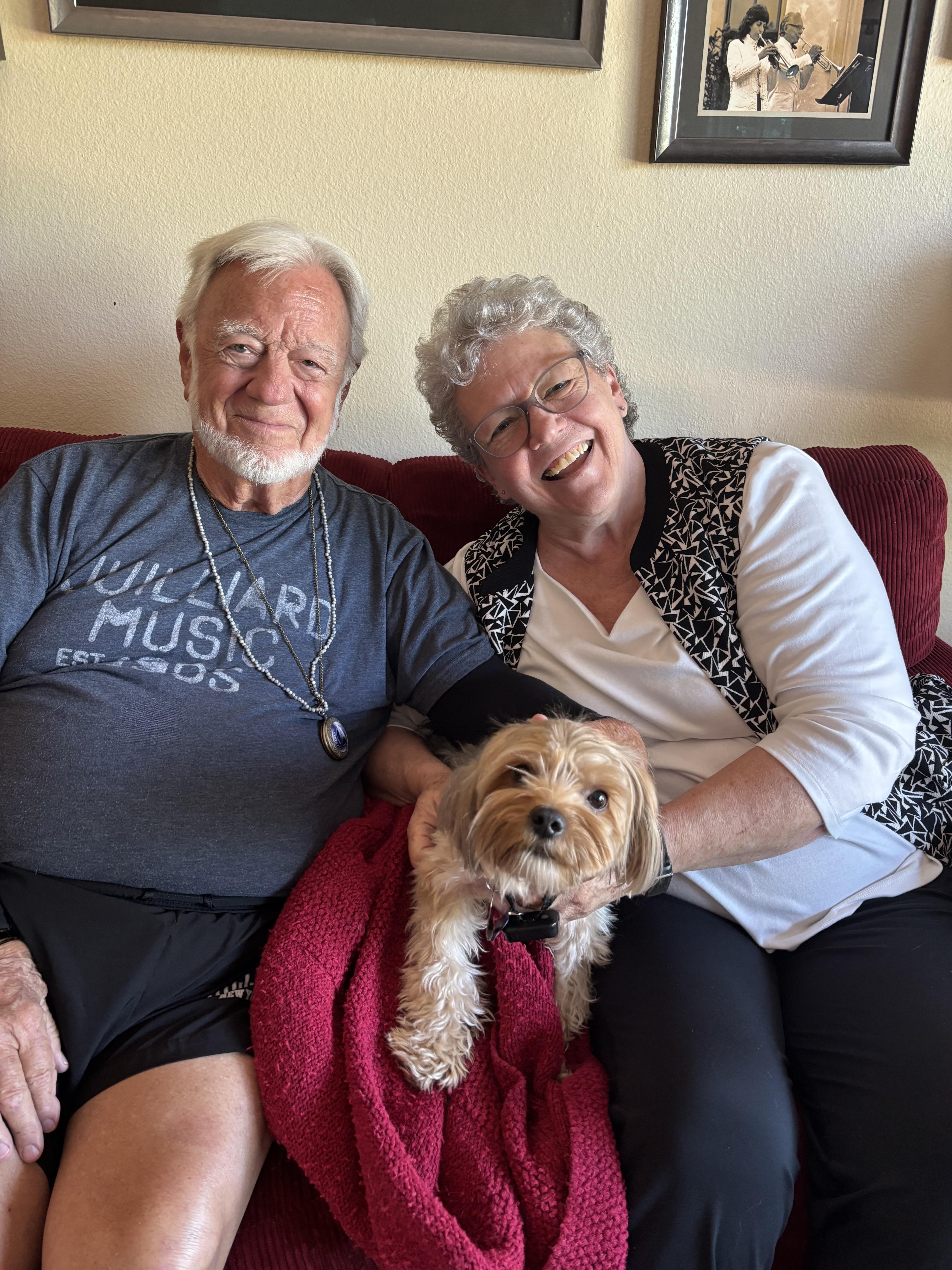 Enlarge Frisco, an adopted Yorkshire Terrier in Phoenix, AZ image 3/3