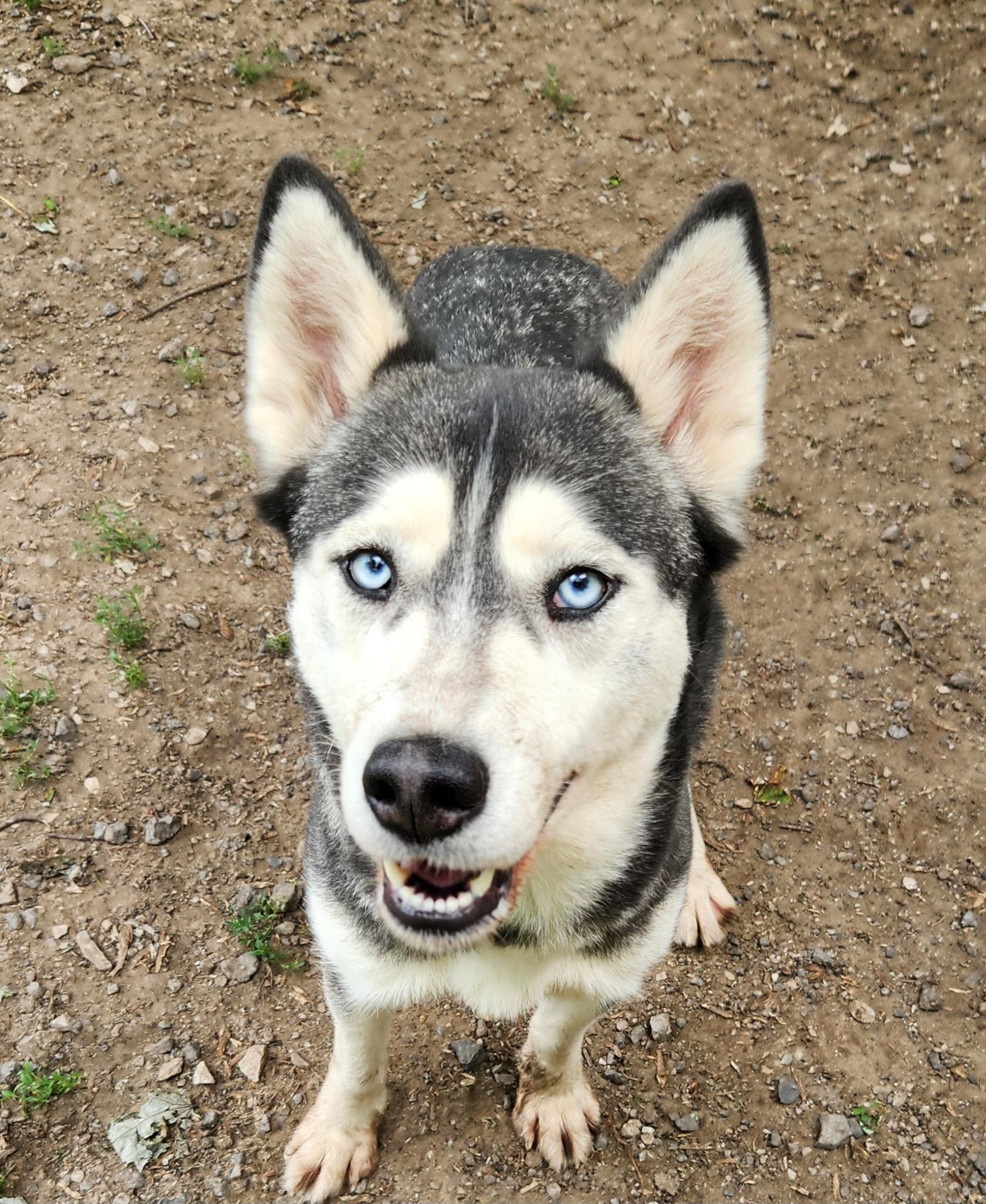 Tundra