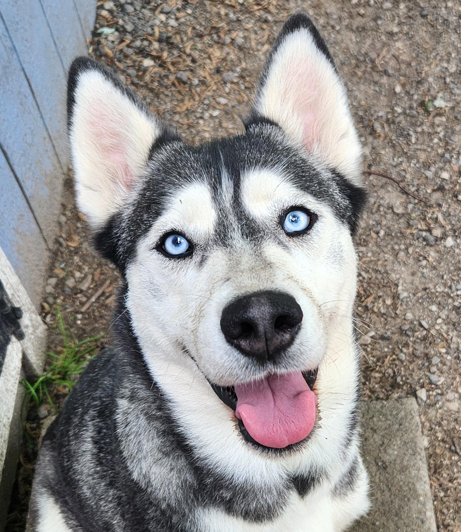 Tundra