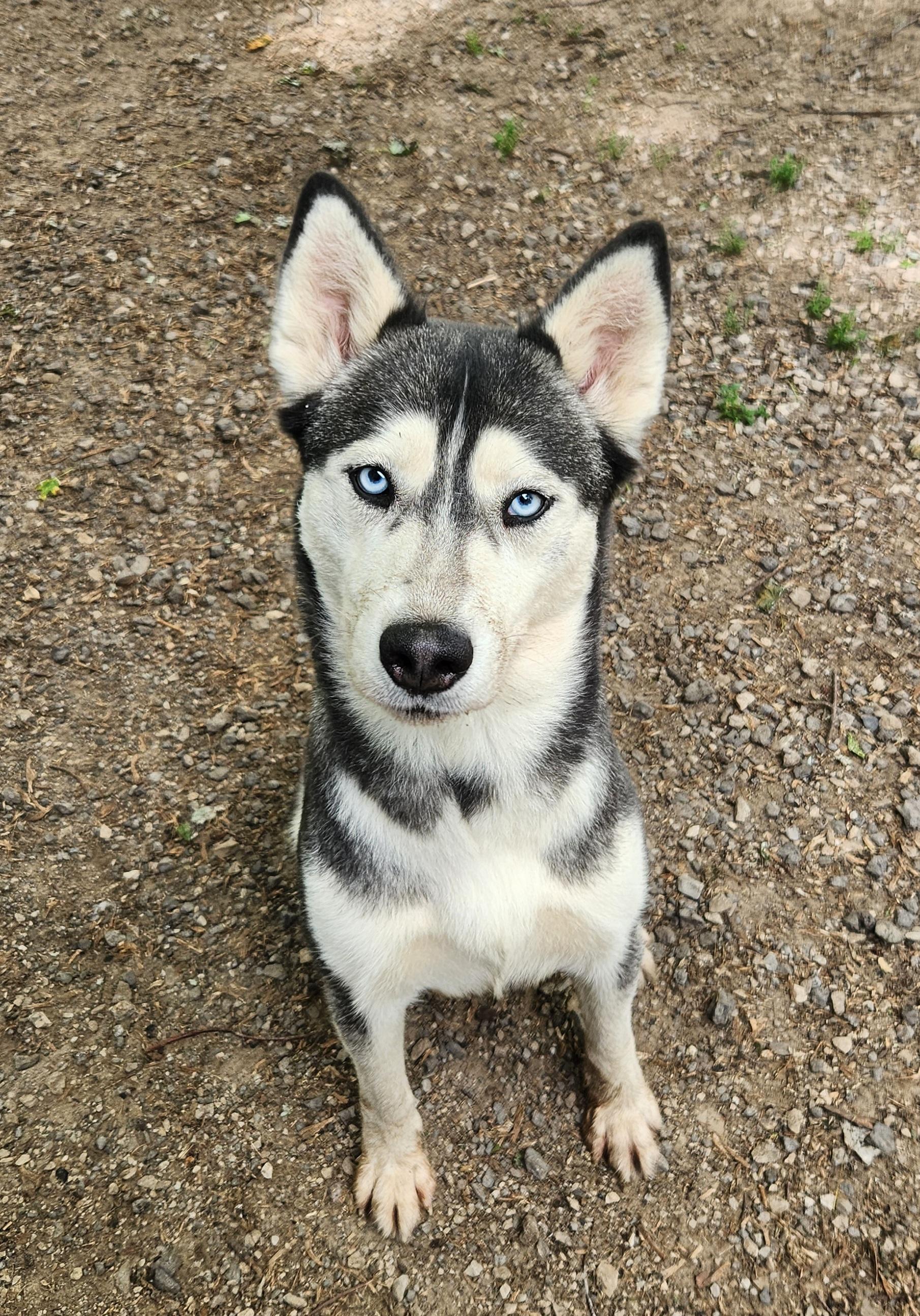 Tundra